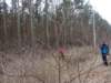 dsc06499_small.jpg