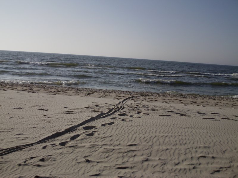 imag0387.jpg