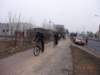 dsc06302_small.jpg