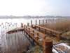 dsc06324_small.jpg