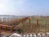 dsc06325_small.jpg