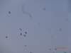 dsc06331_small.jpg