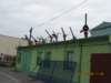 prdocin038_small.jpg