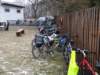 dsc01277_small.jpg