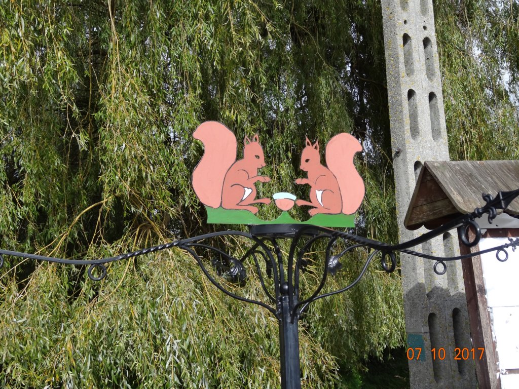 dsc05155.jpg
