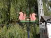 dsc05155_small.jpg