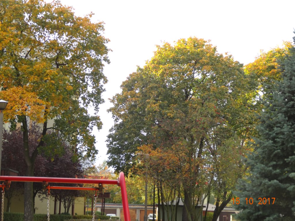 dsc05254.jpg