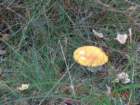 dsc00029_small.jpg