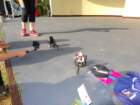 dsc00062_small.jpg