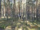 dsc00072_small.jpg