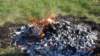 dsc00124_small.jpg