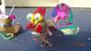 dsc00141_small.jpg