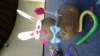 dsc00143_small.jpg
