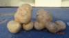 dsc00144_small.jpg