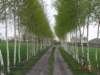 dsc05321_small.jpg