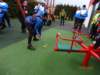 dsc00522_small.jpg