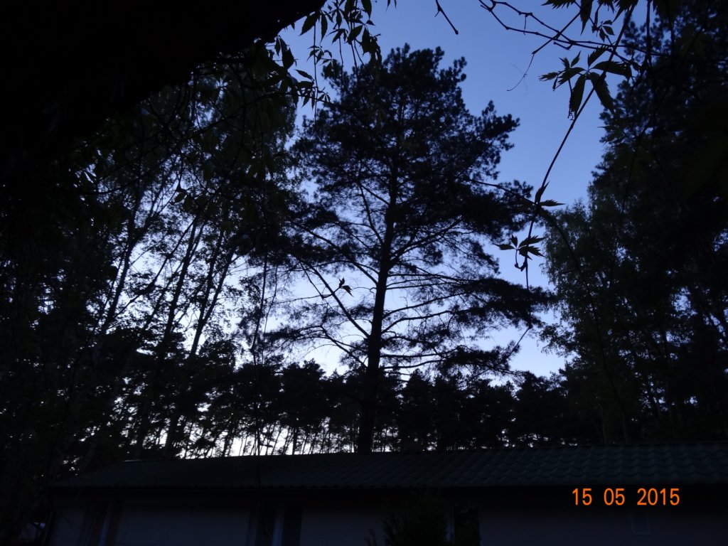 dsc05615.jpg
