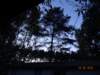 dsc05615_small.jpg