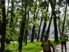 dsc05618_small.jpg