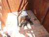 dsc05639_small.jpg