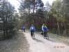 dsc00111_small.jpg