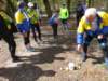 dsc00137_small.jpg